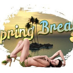 Springbreak Promo - Dj Lil C4