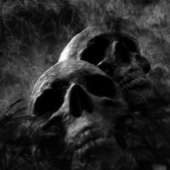 PROJEKT666:SATANOISE - Noise For The Devil