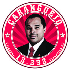 Jingle do Caranguejo Vereador 13.333