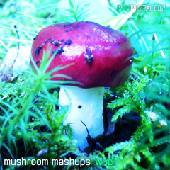 mushroom mashups