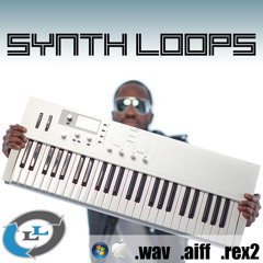 House Synth Loops by www.Loops-Lab.com
