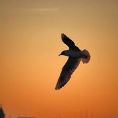 An Ochre Sky