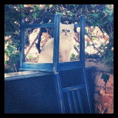 Jamie XX ft. Jasmin- Touch Me (Edit)