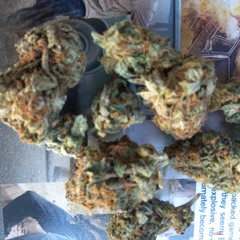 Confessions Of A Stoner Pt 2 Ft Mz Red