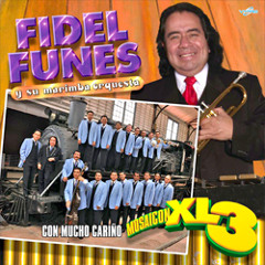 FIDEL FUNES - MIX CUMBIAS 5 EN VIVO