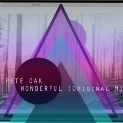 Pete Oak - Wonderfull (Original Mix) FREE DOWNLOAD