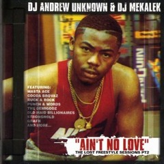 Ain't No Love - DJ Andrew Unknown & DJ Mekalek