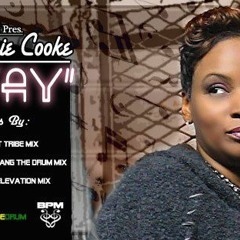 DJ Beloved Feat. Stephanie Cooke - Stay