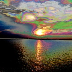 Psykotic Simbal - Crispy Sunset