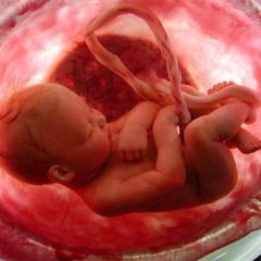 سورة الإنسان