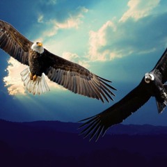 El condor y el Aguila ( desde El corazon de la creacion )
