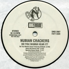 nubian crackers & the artifacts - do you wanna hear it? (1993)