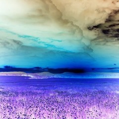 Martin Solveig - Night out (Ohgee Remix)