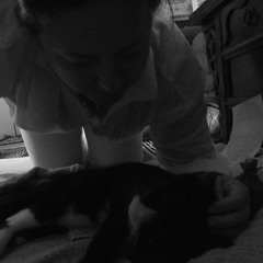 Animal Liberation Song 2007