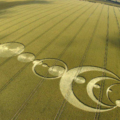 A Sparkling Rift in Time and Space Floats Gently in the Breeze Over a Flowered Field