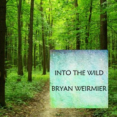 Into The Wild - Bryan Weirmier