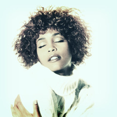 Stimmung Vs Whitney - How Will I Know (Dj Gregory Live Mix)