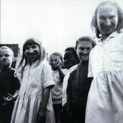 Flim (Aphex Twin cover)