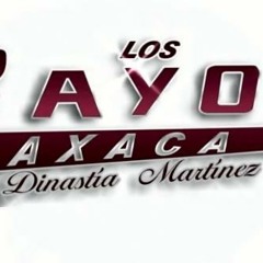 Chinelas 23 vol 5 publicidades cariñoso