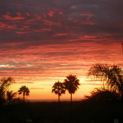 Lets Stay In Tonight