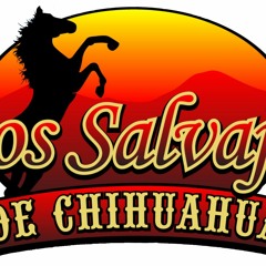 Salvajes De Chihuahua - Vete Por Donde Llegaste