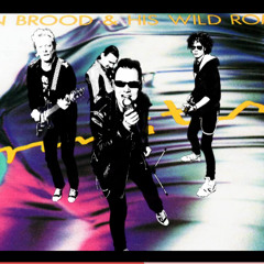 T.I.M. Hou Kontakt (Herman Brood Cover)