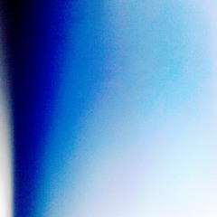 the bees are falling from the sky