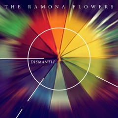 The Ramona Flowers - Dismantle and Rebuild (Amirali Remix)