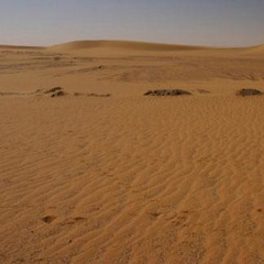 Kristine W - Feel What U Want [MRCVOB Bootleg]