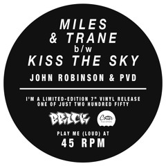 JOHN ROBINSON & PVD-Kiss The Sky