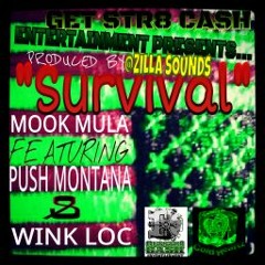 Survival- Mook Mula Ft Push Montana & Wink Loc Prod.By ZillaSounds