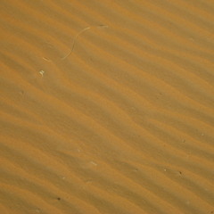 statics: cyclian (2006) for fixed media