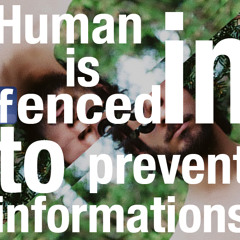 Pharaz Azimi - Fence