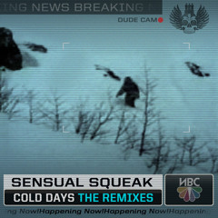 Sensual Squeak -  Cold Days ( Helber Gun Rmx )