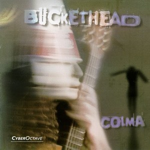 Buckethead - Wondering (cover)