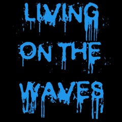 acoustica beatcraft and guitars- kanyon