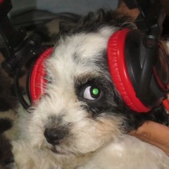 SET EN VIVO PARTY FEST ( 3 am!!!! Terminando la noche ) DJ VAOHX LOMER