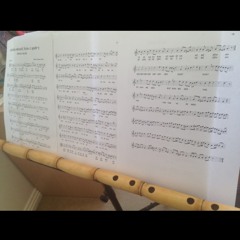 Şah ney - Sûzidil-ara Ayin-i Şerif 1. Selam