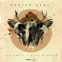 Dexter Kane - Beta Blocker