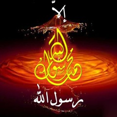قناديل الضياء