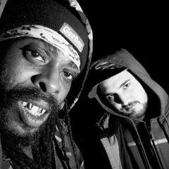 Screaming Soul IllumiNatty THE PROCESS Remix