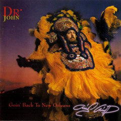 Dr John-Litanie des saints(ibiza sunset mix)