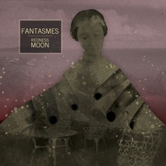 DANCE IN THE SHADOWS