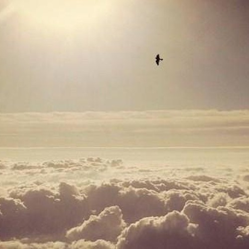 Flying