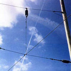 Yellow leaves at night