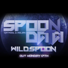 Spoon Data (Catwool + Aelian) - Wild Spoon