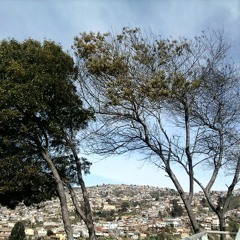 No Visto De Terno - Sates ( NarradoresVagos )( Beat.Ismelodyco )