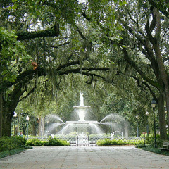 Sanctuary of Rabbits (First Draft)