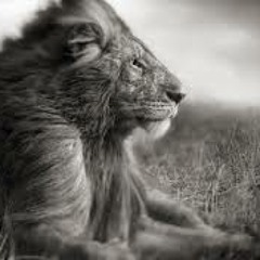 September Inap (Internal Excitement & External)