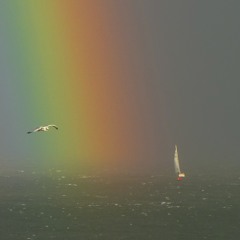 Somewhere Over the Rainbow, Dave McKeown with Old Breed